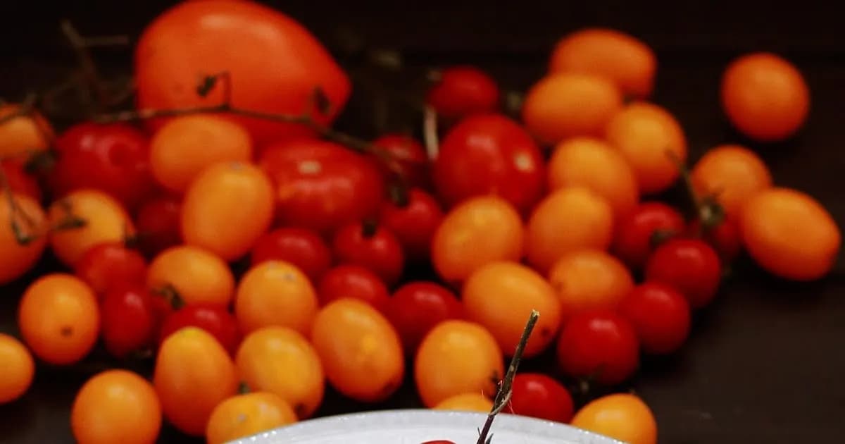 Prosty przepis na spaghetti ze świeżych pomidorów, które zachwyci smakami