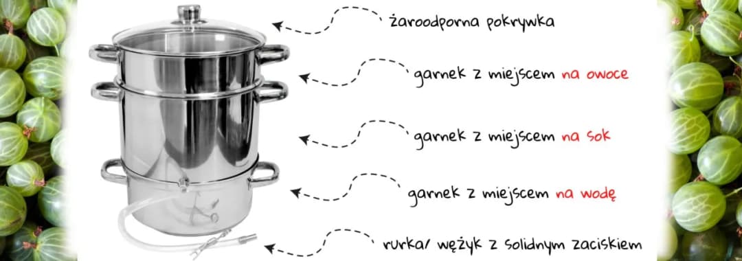 Jak zrobić sok z aroni w sokowniku - proste kroki do smaku zdrowia