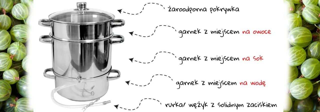 Jak zrobić sok z aroni w sokowniku - proste kroki do smaku zdrowia