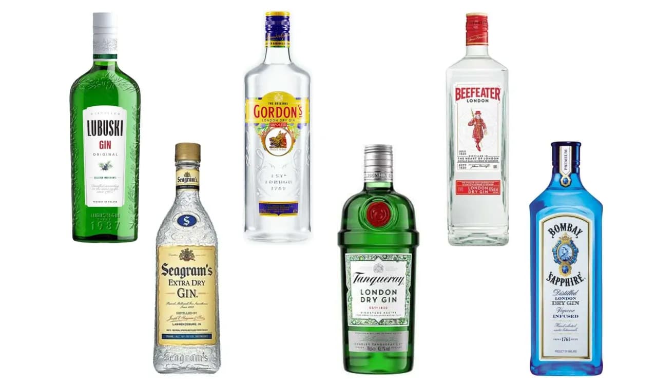 Jaki gin do drinków - wybierz najlepsze giny do koktajli i nie tylko